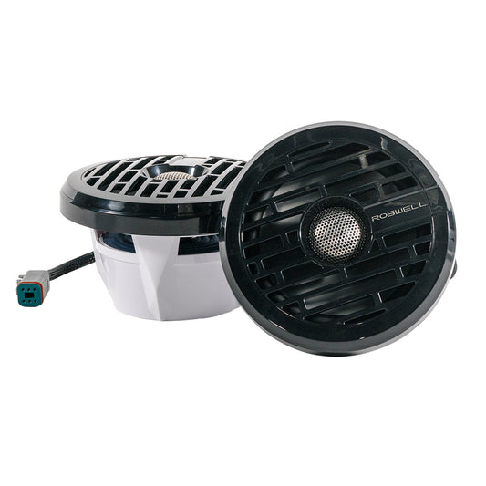 Roswell R1 6.5 Marine Speakers - Black - 80W RMS & 160W Peak Power