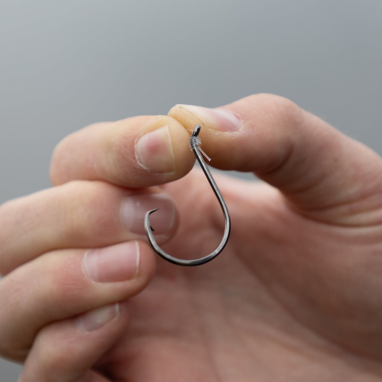 Reaction Tackle Premium Circle Hooks-25 Pack
