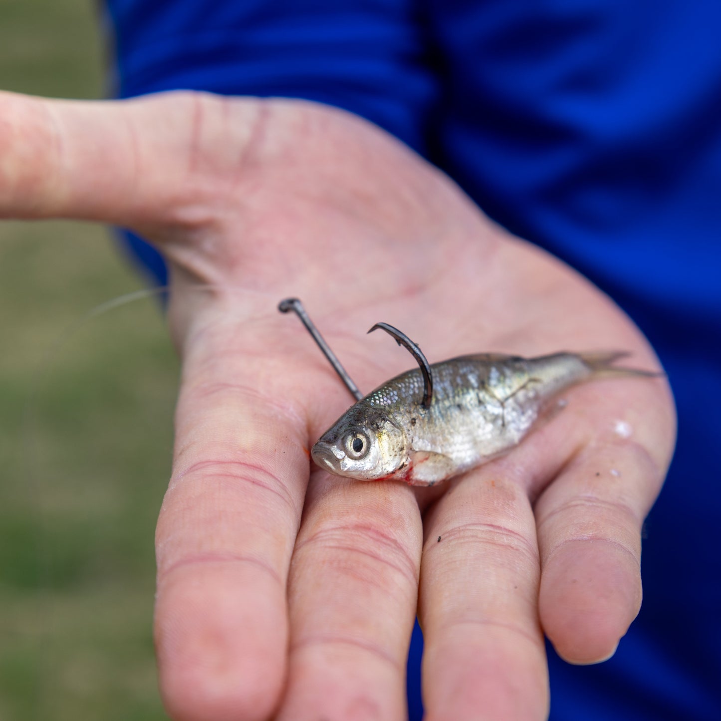 Reaction Tackle Premium Circle Hooks-25 Pack