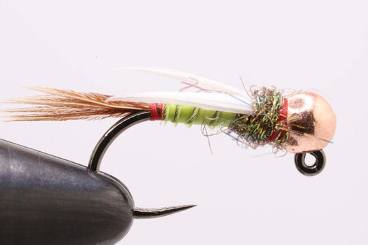 Golden StoneFly