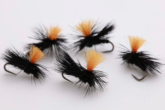 Hi-Viz Black Caddis