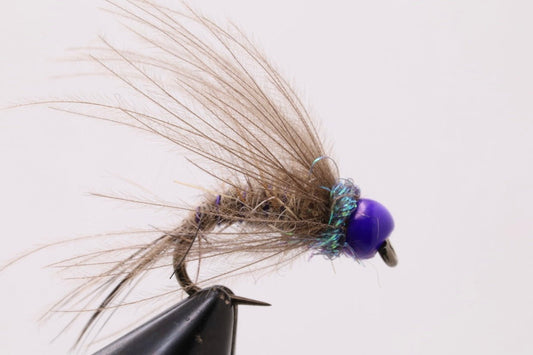 Violet Hare’s Ear CDC